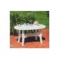 Fun Star plastic table 90x140 white Tamigi (garden products)