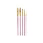 Kitchen Craft Sweetly Does It brushes for cake decoration, 5-piece set (household goods)