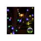Innoo Tech Solar String Light Multicolor 12m dual LED 80 balls, Christmas trees decorated wedding garden, outdoor use or indoors (Kitchen)