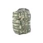 Army Military Camouflage Backpack US Assault MOLLE pack 20L AT Digital (Sport)