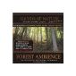 Forest Ambience (MP3 Download)