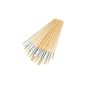Silverline 282606 Set of 12 assorted brushes (Tools & Accessories)