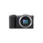 Sony Alpha 5100 system camera with ultra-fast hybrid AF (180 ° rotatable 7.62 cm (3 inch) LCD screen, 24.3 megapixels, Exmor APS-C sensor, Full HD Video) (Electronics)