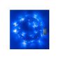 Garland Light Inside Piles, 40 LED Blue 8 Light Games, 4m (Kitchen)