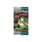 Asmodee - POUN02 - Game playing cards and collectible - Booster Pokemon - Gold and Silver (Toy)