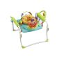 Fisher-Price Friends Jumperoo XL .com (Baby Care)