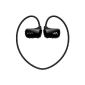 Sony Walkman MP3 player with NWZW273 in-ear headphones (4GB internal memory, USB) (Electronics)