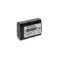 Battery NP-FP50 / FH50 for Sony DSC-HX1, HX100, HX100V, HX200V (Electronics)