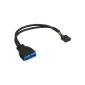 InLine USB 2.0 to 3.0 adapter cable, USB 2.0 motherboard internal USB 3.0, 0.15m (Accessories)