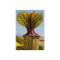 TROPICA - Giant Mountain pitcher plant - 10 seeds including growing medium