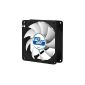 ARCTIC F8 PWM PST - Ultra quiet PWM controlled standard 80 mm case fan with PST terminal (PWM Sharing Technology) (Accessories)