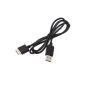 1m 2 in 1 data cable Charging cable USB2.0 cable for Playstation PS Vita PSV PSVita (Electronics)