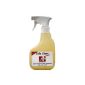 SHB Swiss Cafe Clean Liquid 330ml cleaner for coffee machines ...