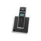Swissvoice Eurit 748 Cordless ISDN telephone (DECT) with optical call signaling incl. Fulleco mode (electronic)