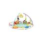 Fisher Price - N8850 - Nursery - Awakening - Carpet Sweet Luxury Planet (Baby Care)