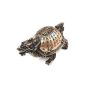TURTLE DRAGON - Animal FENG SHUI - Success, Protection and Success