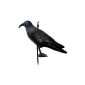 Navyline - Raven plastic scarecrow against pigeons and seagulls (Miscellaneous)