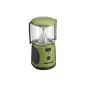 Mr Beams ultra-bright LED lamp with USB charger, green MB470 (tool)