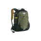 The North Face Borealis Backpack (Luggage)