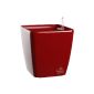Flower lover planter with irrigation system Quadrato, red, 25 x 25 x 24 cm (garden products)