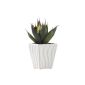 Greemotion Kunstpfl.  Aloe Vera in a ceramic pot, multicolored, 10x10x22cm (garden products)