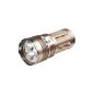 WEWOM Diving High-Tec LED diving torch aluminum torch with 3 Cree LEDs, 3000 Lumens, Waterproof (Electronics)