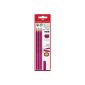 Faber-Castell 580294-3 pencils Grip 2001 Hardness: B and Eraser Cap, blackberry (Office supplies & stationery)