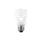 Govena C-1713-0G Longlife energy-saving lamp E27 / 13W (tool)