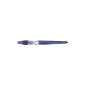 Pilot Plumix neon fountain pen Dark Blue Point Average (Office Supplies)