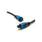 BlueRigger digital Toslink optical audio cable (3 meters) (Personal Computers)