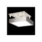 LIGHT TREND LED ceiling light / 28 x 28cm / 820 lumens / frosted aluminum
