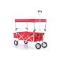 Foldable carts JW-76A Hand Leiterwagen beach car with sunroof foldable trolley (Toys)