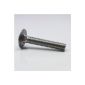 Carriage bolts M8x70