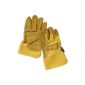 Dunlop 360131 professional work gloves Gr.  L, Leather & Cotton, Yellow, Cat 2 certified according to EN 388/3113 (Automotive)