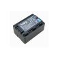 Troy Battery for Panasonic VW VBK180 EK with info chip, 100% compatible for Panasonic HDC HS60 HS80 SD40 SD60 SD66 SD80 SD90 SD99 SDX1 TM40 TM55 TM60 TM80 TM90 SDR H85 H95 H100 H101 S45 S50 S70 S71 T50 T55 T70 T71 T76 HC V707 V500 V100 V10 ( Electronics)