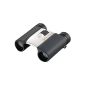 Nikon Sportstar EX 10x25 Compact Binoculars Roof prism, waterproof, compact, silver finish Water Sports, Nature, Theatre, Birds, Travel Silver (Electronics)
