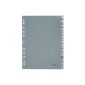 Durable 640110 Filers, PP, Tabe A - Z, A4, 20 sheets, gray (Office supplies & stationery)