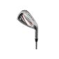 Dunlop TP13 iron 3 4 5 6 7 8 9 pitching sand wedge golf club (Misc.)
