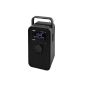 Imperial 22-210-00 DABMAN 110 portable digital radio (LCD display, DAB + / FM tuner, RDS, 3.5 mm jack) incl. Battery and AC adapter (Electronics)