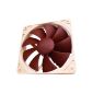 NOCTUA quality at the best price