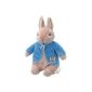 Beatrix Potter - Peter Rabbit soft toy Plush 25 cm (Peter Rabbit) (Baby Care)