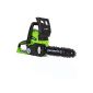 Greenworks Tools Cordless Chainsaw 24V Li-Ion Coupe 25cm (10 '') (Tools & Accessories)