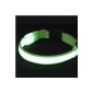 Collier Green Flashing Adjustable Dog Small Size - Fiber Optic LED (Miscellaneous)