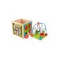 KidKraft - 63243 - Toys First Age - Cube Labyrinth Balls (Toy)