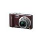 Panasonic DMC-TZ10 Digital Camera 12.1 Mpix Chocolate (Electronics)