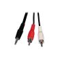 Connectland C-JACK-HP-10M + 2RCA Audio Cable 3.5mm to 2 RCA speaker 10 m (Accessory)