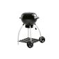 Is it worth upgrading to a grill ball? ...