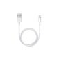Apple ME291ZM / A Lightning to USB Cable for iPhone / iPad / iPod 0.5m (Personal Computers)