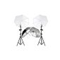 RPGT® Fotolampe A pair Set Studio screen with white translucent umbrellas silver reflector screen (electronics)