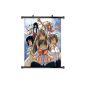 Love Hina Anime Fabric Wall Scroll Poster (32 